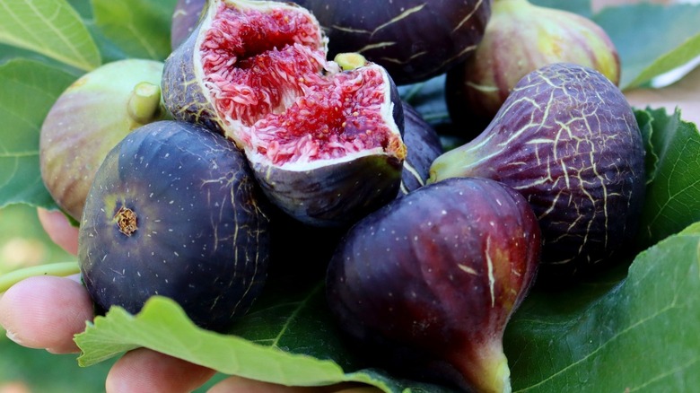 figs on a fig leaf