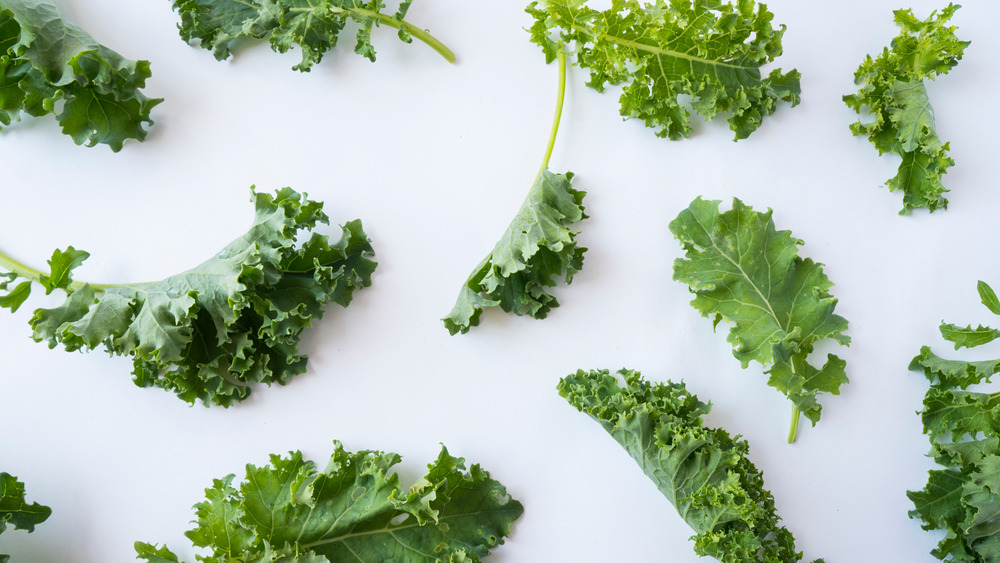 kale leaves on white background