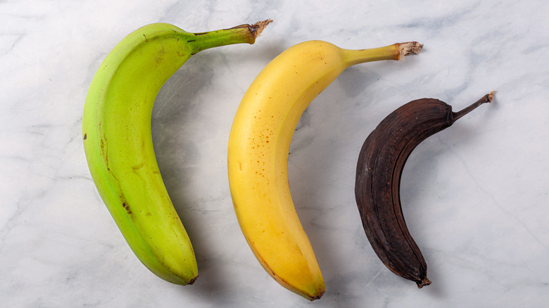 three bananas of varying ripeness