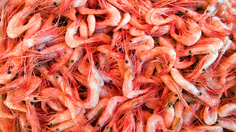 Pile of shrimp