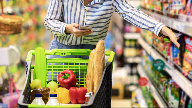 Grocery cart with food