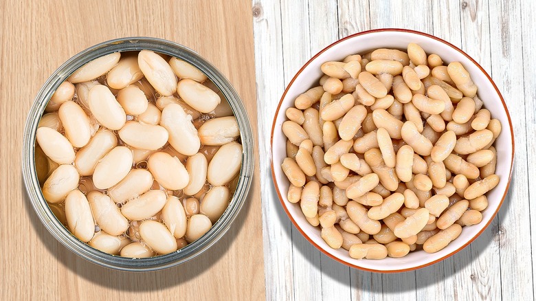 Navy beans vs cannellini beans 