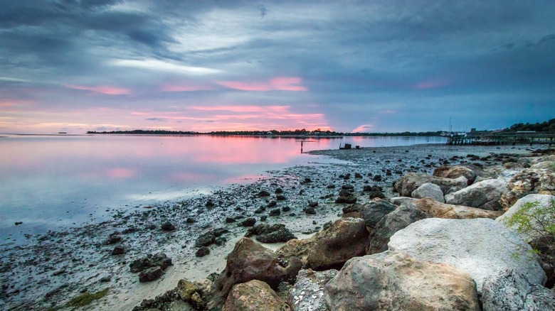A sunset view of a waterfront with rocks, calm water, and a pink and dark blue sky on Cedar Key, Florida.
