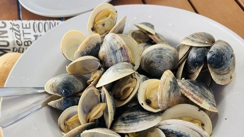 A pile of steamed clams with spoons in a white bowl on a wooden table.