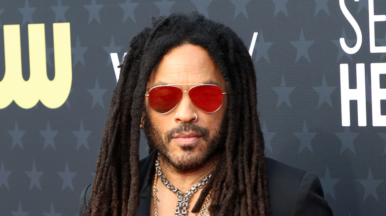 Musician and actor Lenny Kravitz against a red carpet backdrop