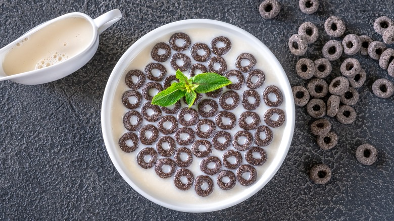 Chocolate cereal in milk