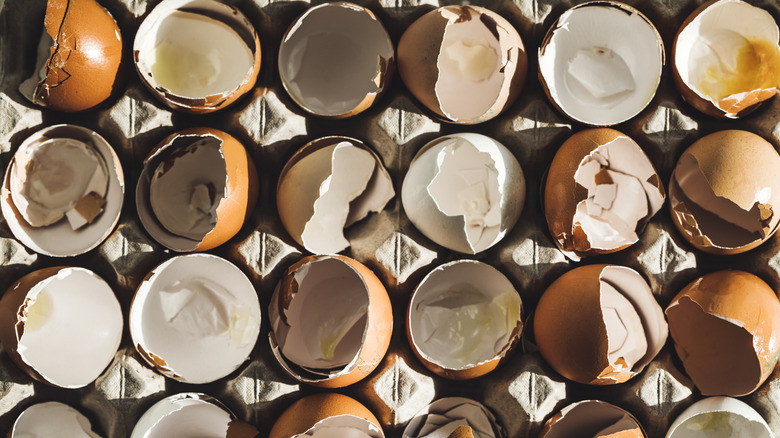 broken eggs in a carton