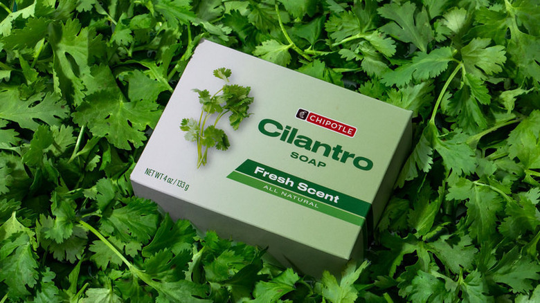 chipotle cilantro soap bar