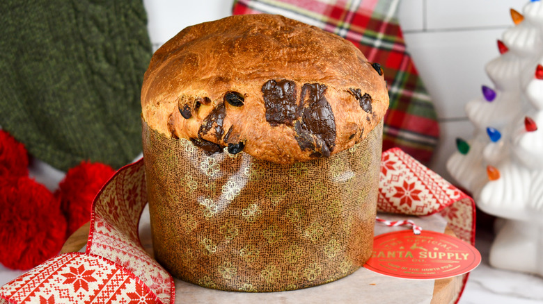 Chocolate Fig Panettone for Christmas