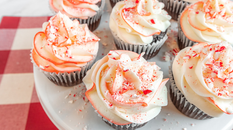 frosted chocolate peppermint cupcakes