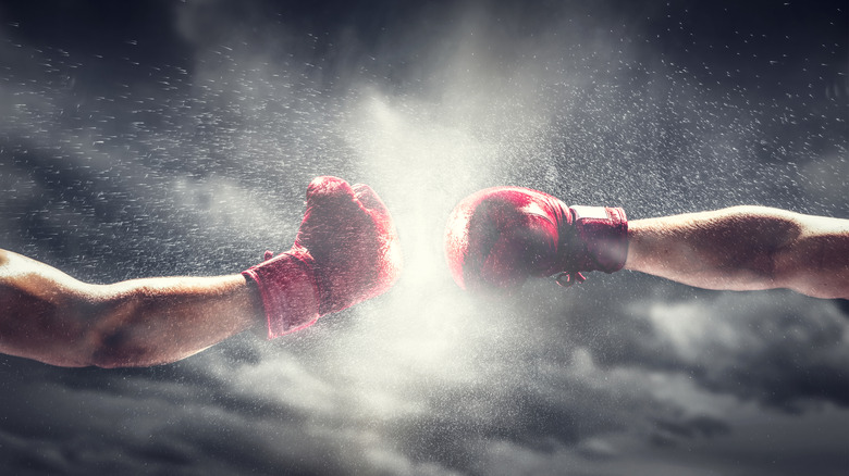 Boxers squaring up