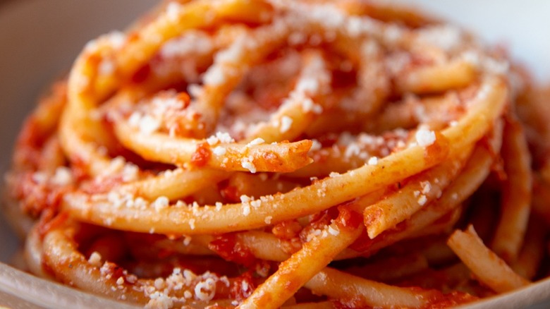 bucatini amatriciana closeup