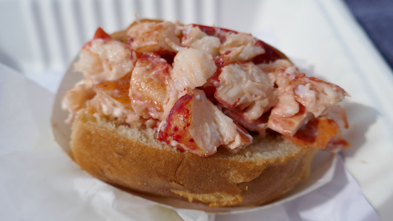 A close up of a lobster roll with large chunks of lobster on a paper plate