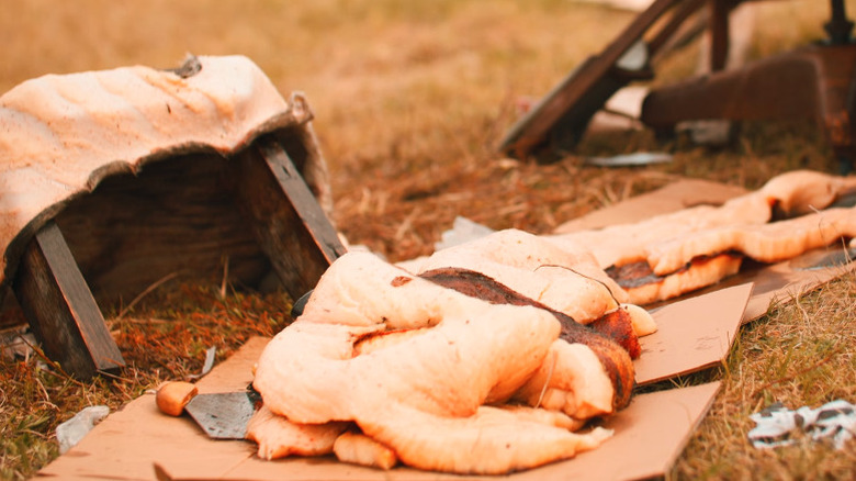 Preparing seal flipper for fermentation