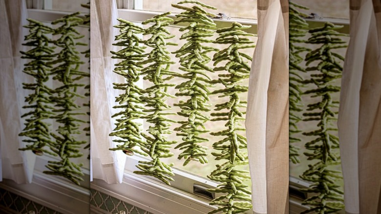 Shuck beans drying near window