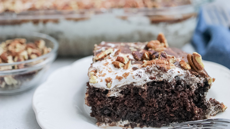 slice of Mississippi mud cake