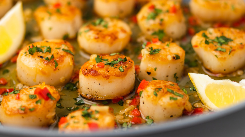 chile garlic scallops in pan