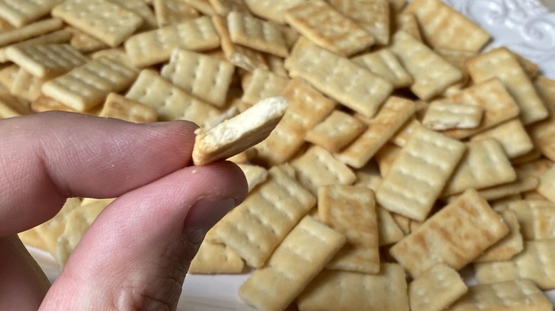 Hand holding half-eaten Mini cracker