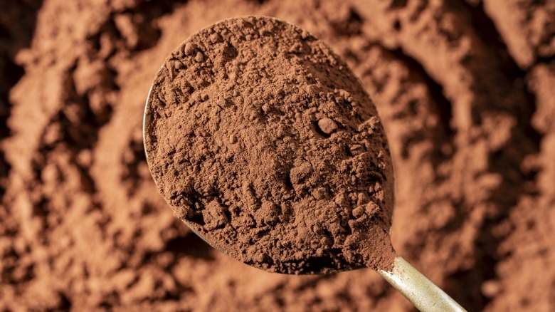 A spoonful of cocoa powder being held above more cocoa powder