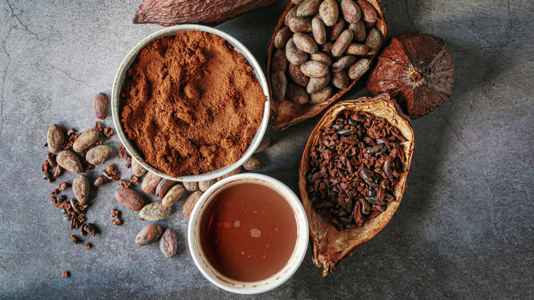 Bowls of cocoa powder and cocoa beans next to a bowl of hot cocoa