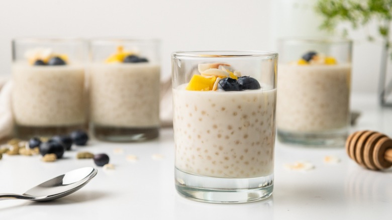 tapioca pudding with fruit garnish