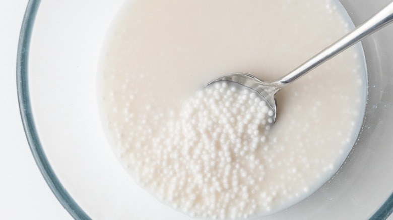   tapioca nel latte con il cucchiaio