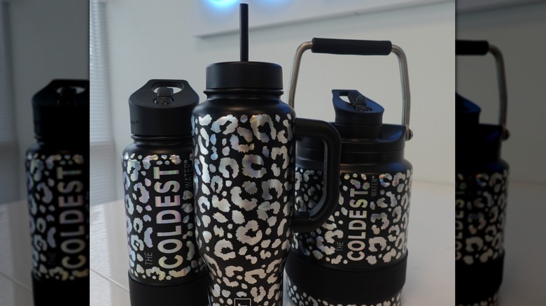 Variety of Coldest water bottles with metallic cheetah print