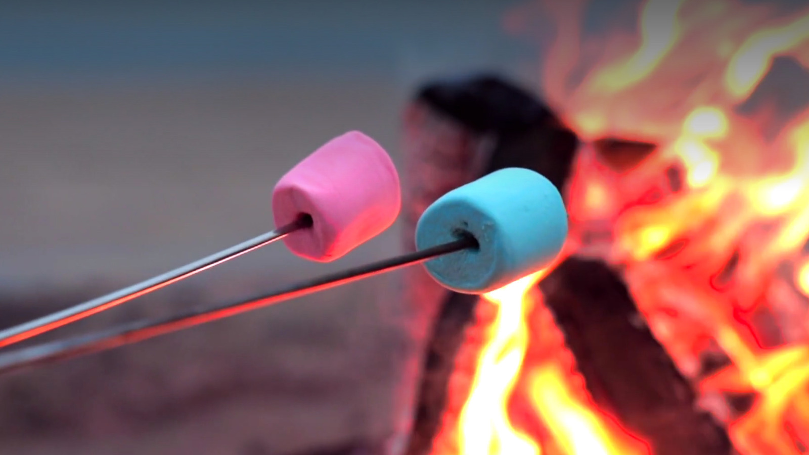 ColorChanging Marshmallows Are Going To Be The Next Campfire Rage