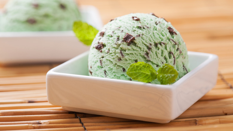 A bowl of green mint chocolate chip ice cream with mint leaves