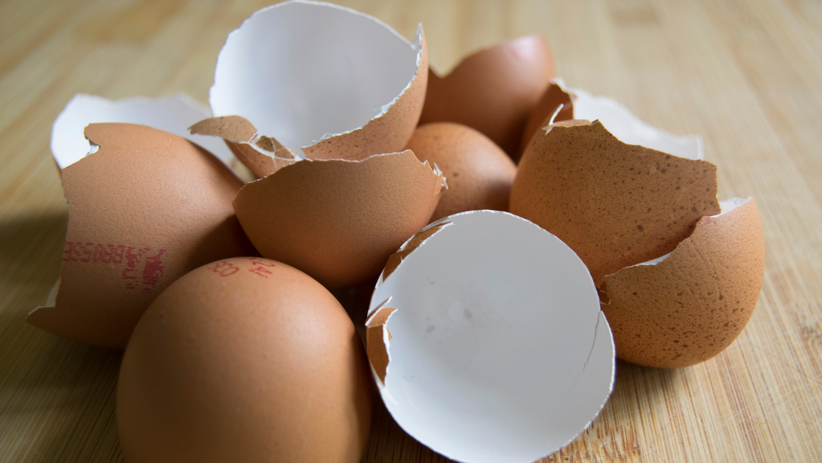 Common Food Accidents Is It Safe To Eat Eggshells?