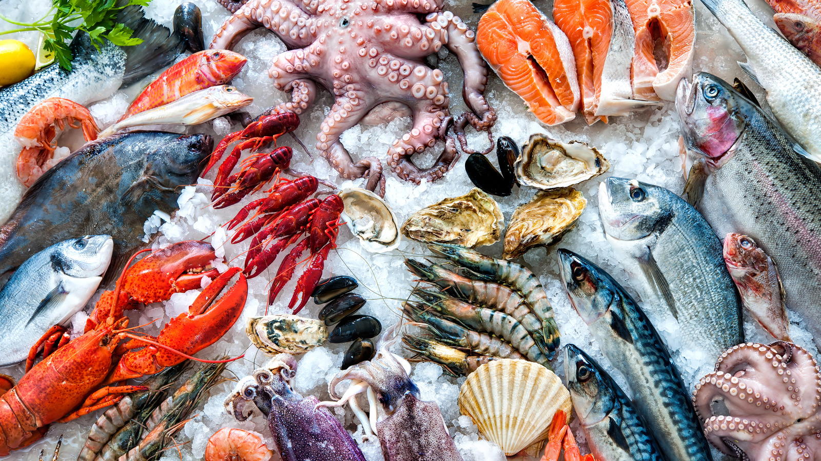 8 Common Mistakes Chefs Say Everyone Makes When It Comes To Freezing Seafood
