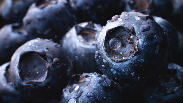 close-up of fresh blueberries coated in water droplets