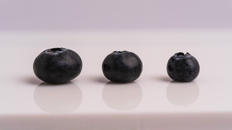 three sizes of blueberries on a white background