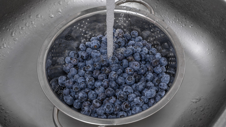 blueberries in a strainer being rinsed under water in a sink