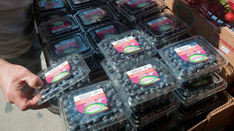 man looking through plastic containers of blueberries at the grocery store
