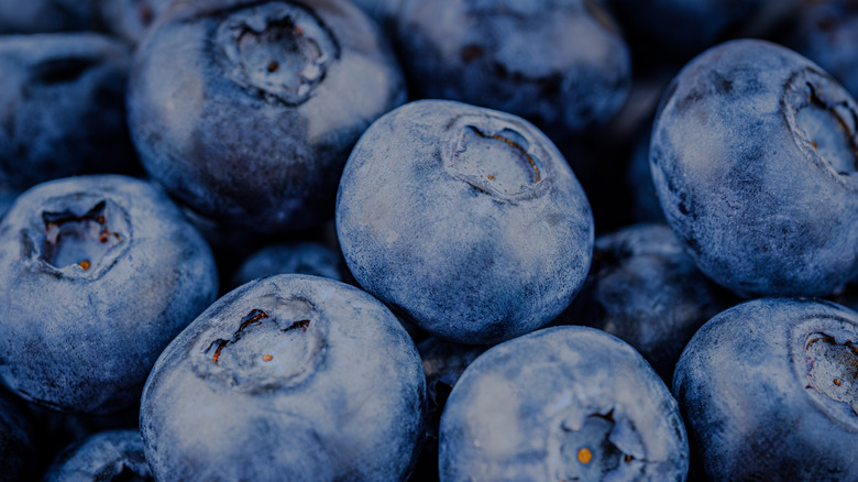close-up of fresh blueberries coated in a white bloom