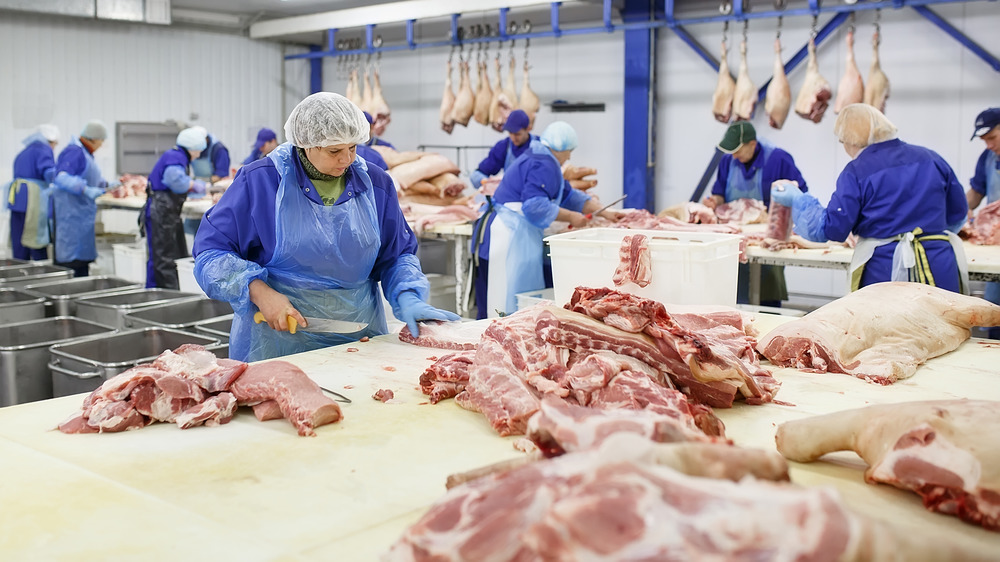 Meat processing plant workers