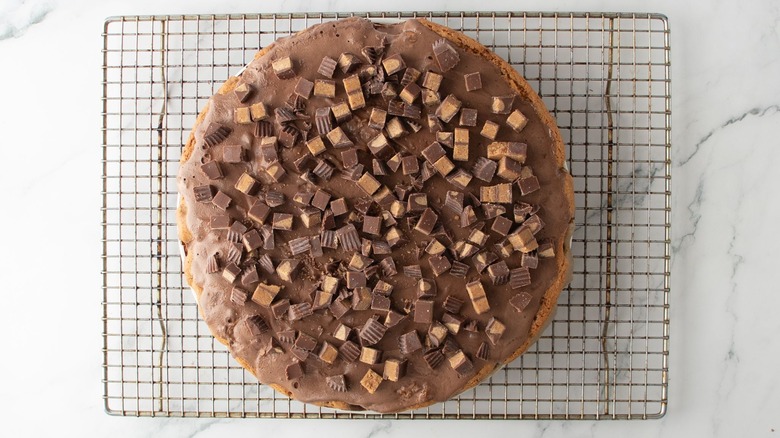Ice cream cookie crust cake topped with chopped peanut butter cups