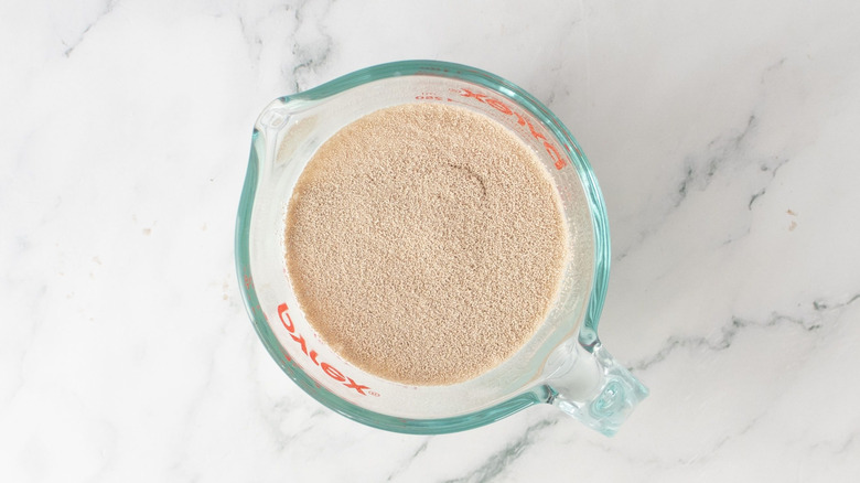 Yeast mixture in measuring cup