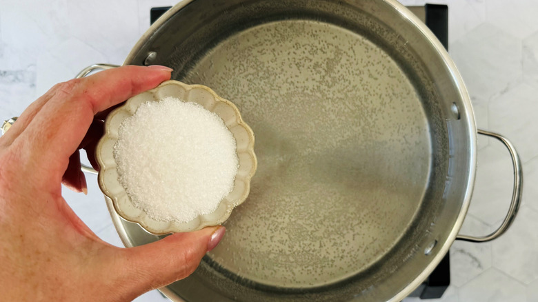 Hand holding small bowl of salt over pot of water