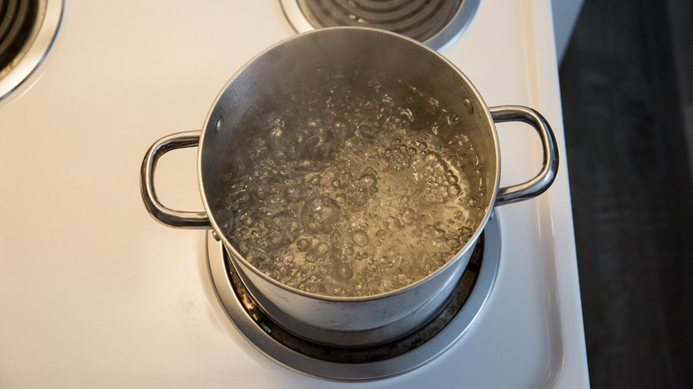 water boiling in stovetop pot