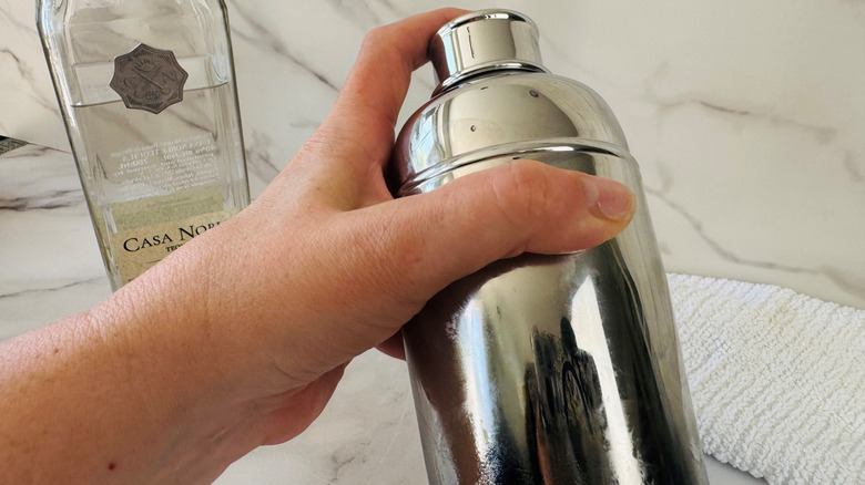 hand holding a cocktail shaker