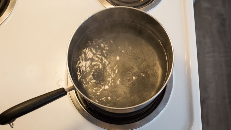 water boiling in stovetop pot