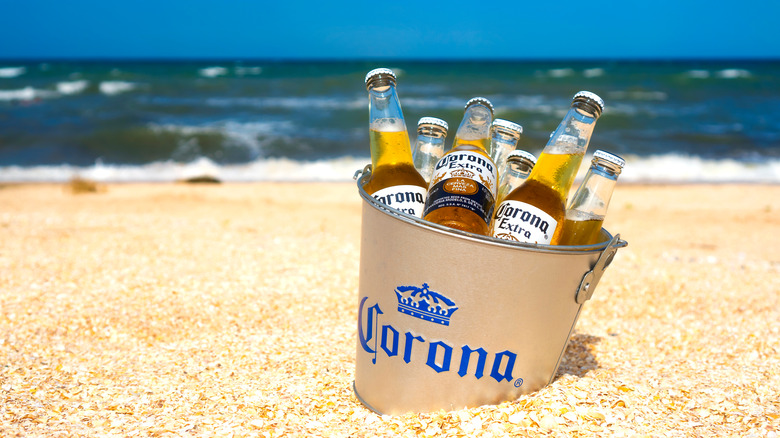 Corona beer bottles in bucket