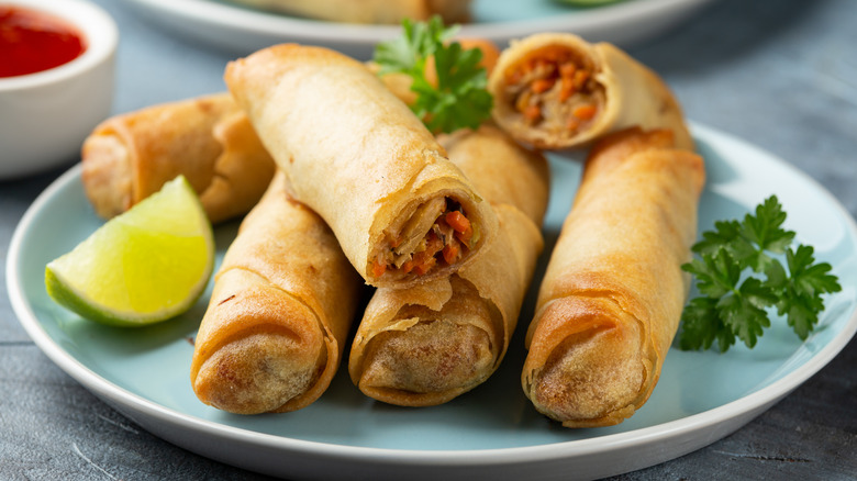 Vegetable spring rolls on plate