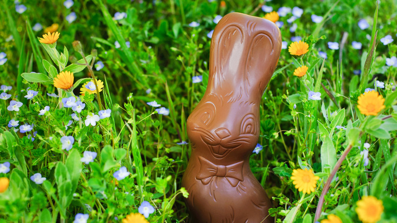 Chocolate bunny with flowers
