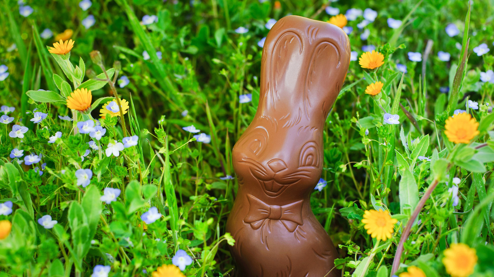 Costco Is Selling Packs Of Chocolate Bunnies That Are Both Stylish And Sweet