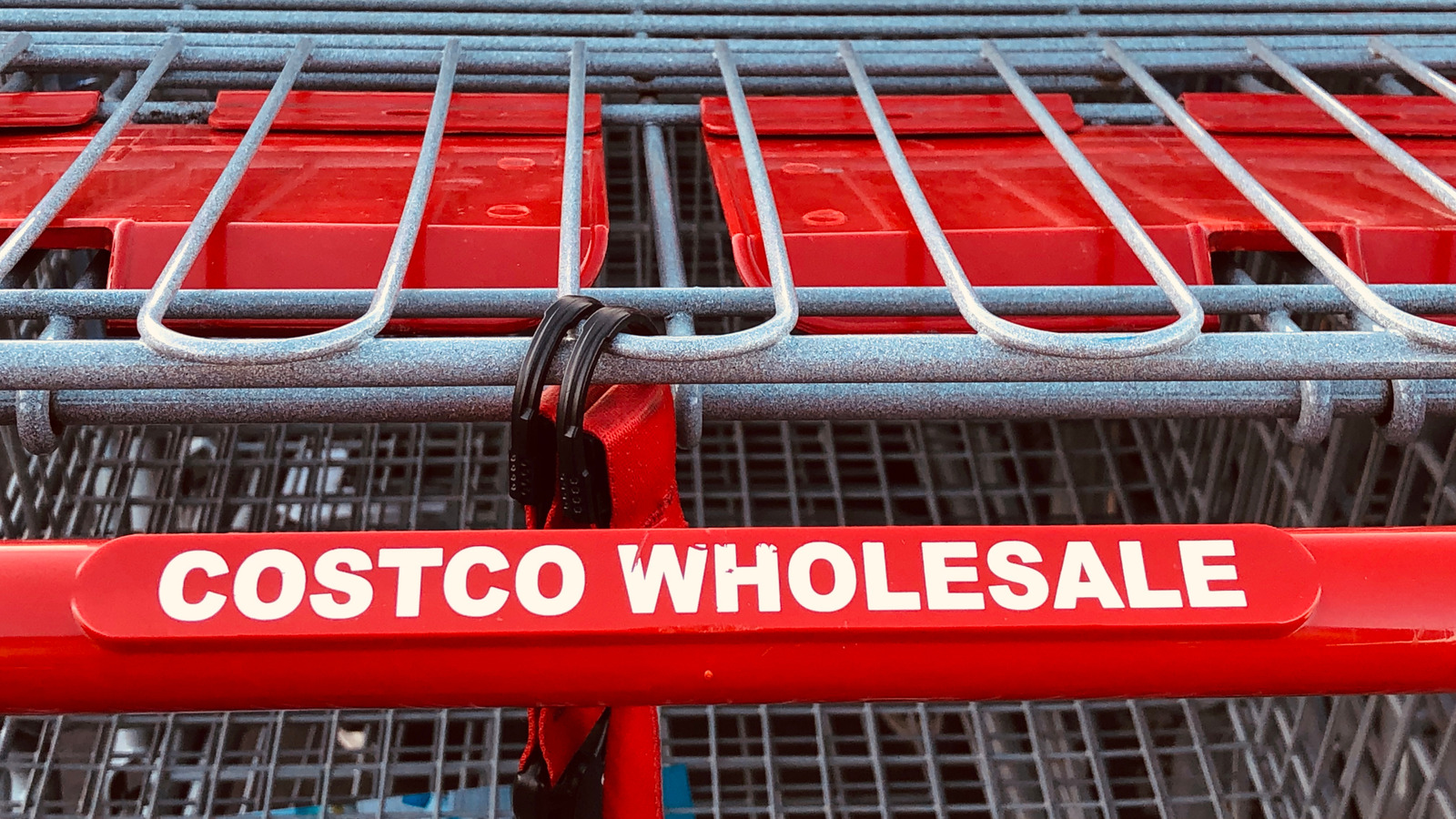 The Kirkland Snack Costco Members Keep Returning