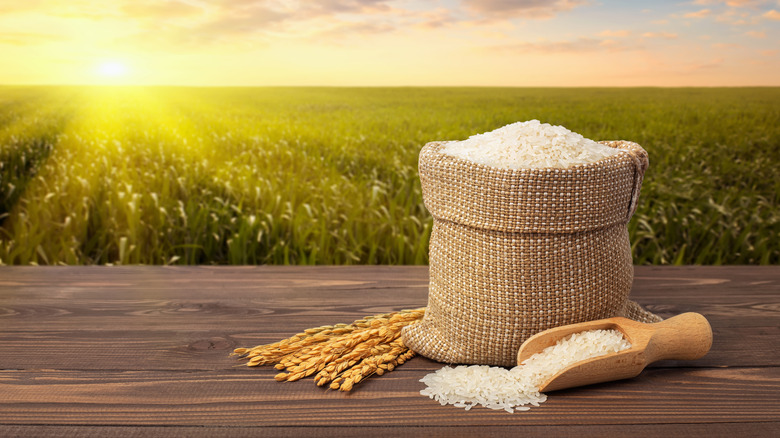 rice in bag with wooden spoon and sunshine