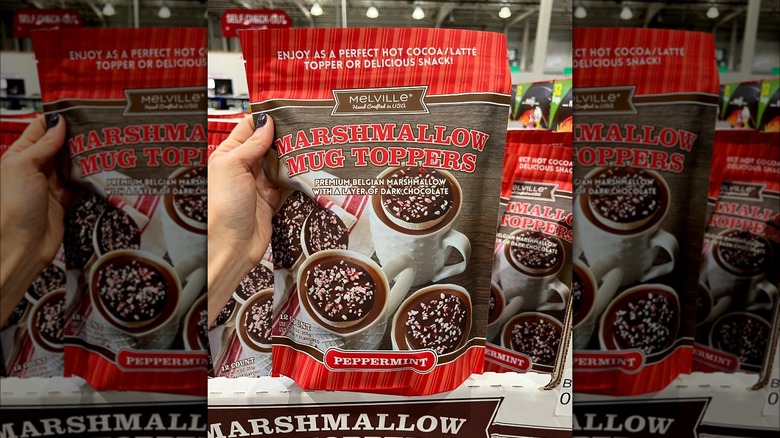 hot chocolate with marshmallows